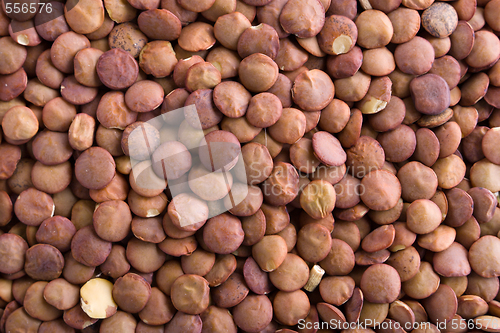 Image of lentils