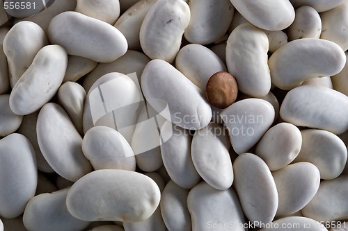 Image of beans