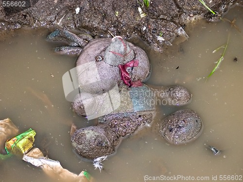 Image of abandoned toy