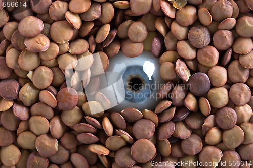 Image of eye and lentil