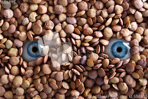 Image of eye and lentil