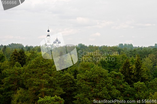 Image of church in forest