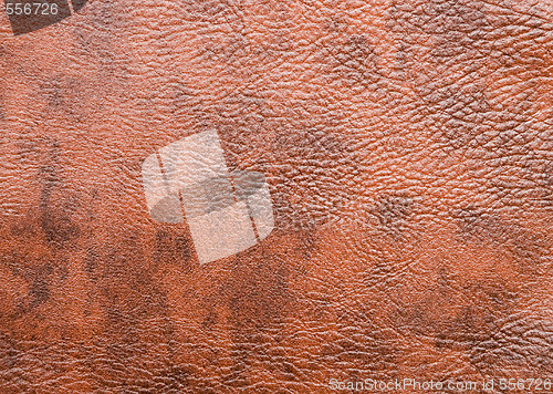 Image of leather background