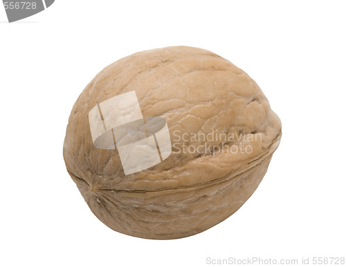 Image of nut