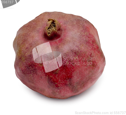 Image of pomegranate