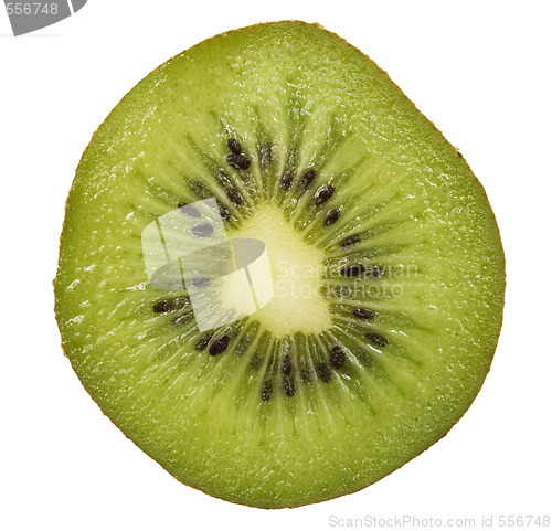 Image of kiwi