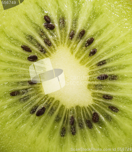 Image of kiwi