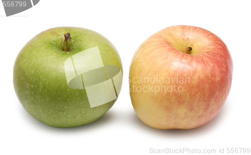 Image of two apples