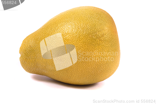 Image of pomelo 