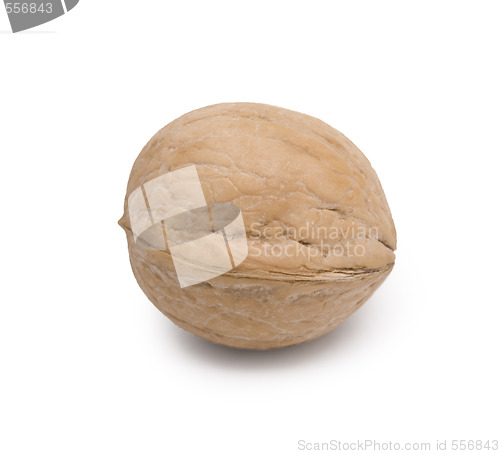 Image of nut