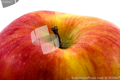 Image of Apple close-up