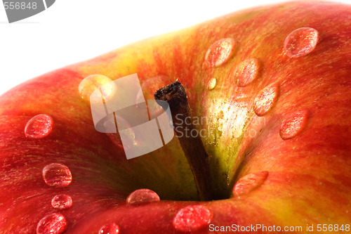 Image of Apple close-up with waterdrops