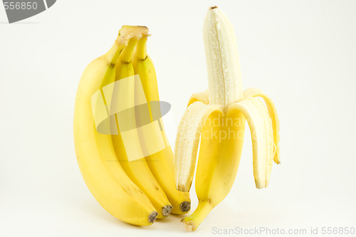 Image of Four bananas on light background