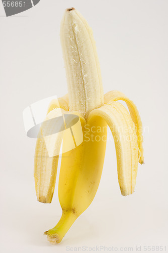 Image of One banana on light background