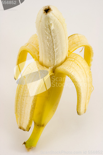 Image of One banana on light background