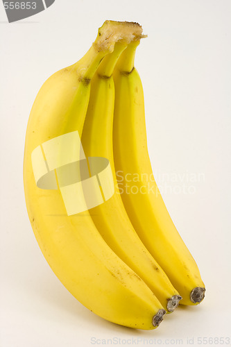 Image of Bunch of bananas on light background