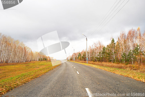 Image of autumn road