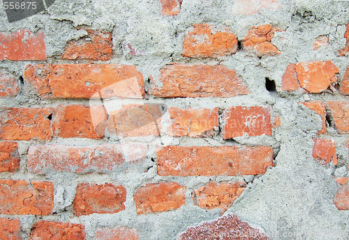 Image of brick wall
