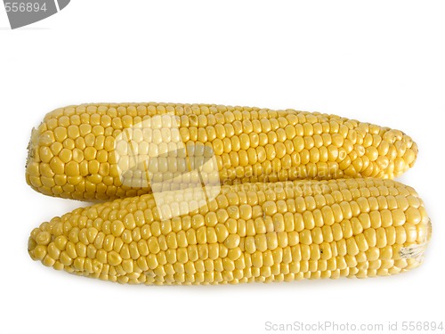 Image of Corn