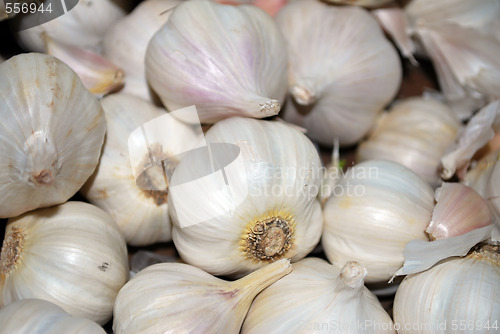 Image of Garlic Bulbs