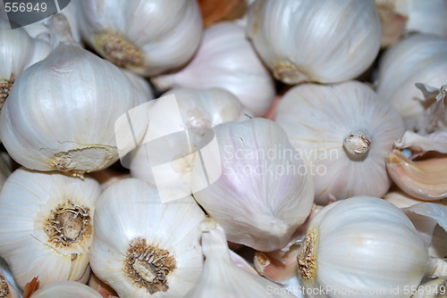 Image of Garlic Bulbs