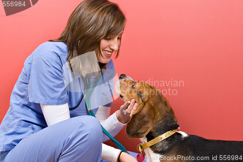 Image of Vet Checkup
