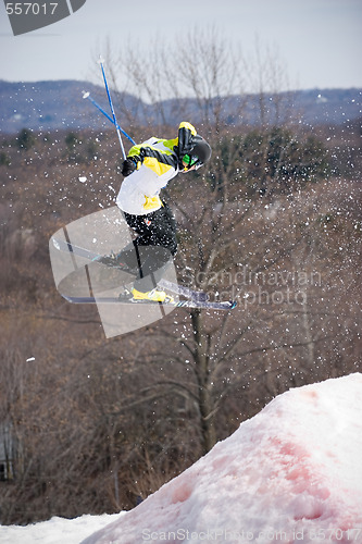 Image of Ski Jumper