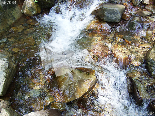 Image of stream