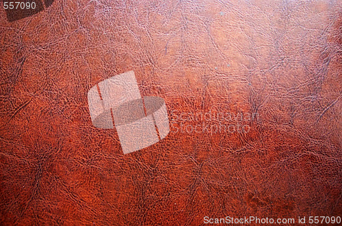 Image of leather