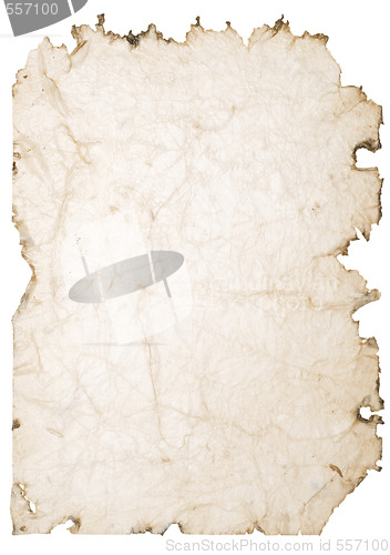 Image of old wet paper