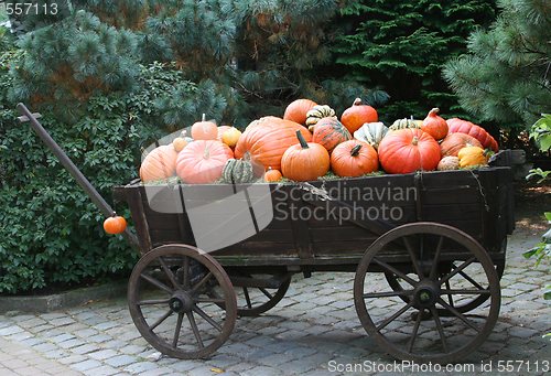 Image of Pumpkins on a wagon