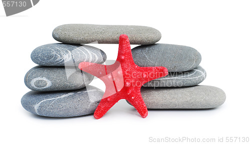 Image of pebble bridge and starfish