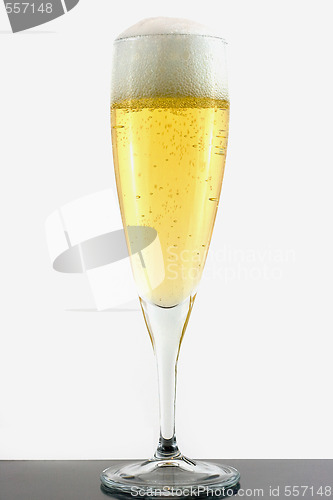 Image of Champagne in glass on gray surface