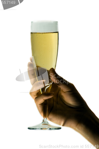Image of Champagne in womans hand isolated