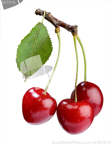 Image of cherries