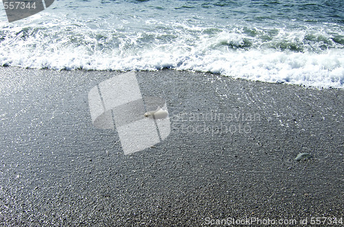 Image of sea shore