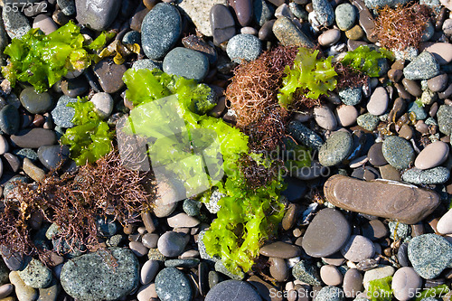 Image of sea beach texture