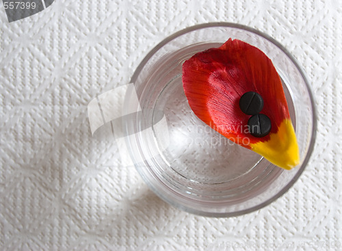 Image of two black tablets on petal