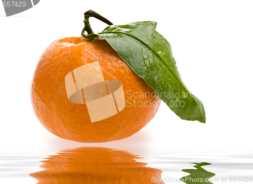 Image of tangerine