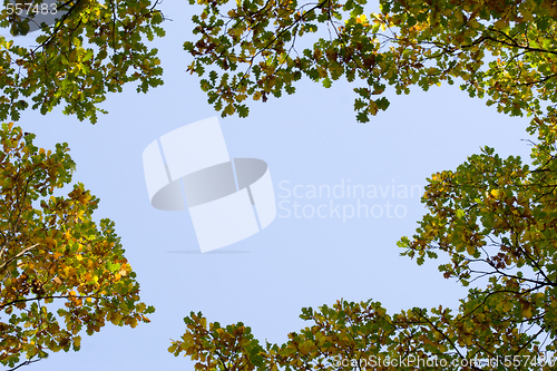 Image of autumn frame