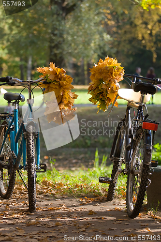 Image of fall couple of bicycles