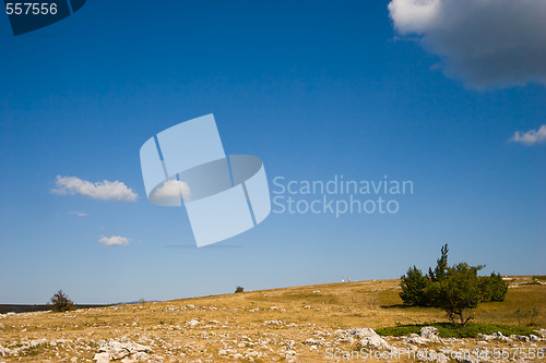 Image of hot landscape