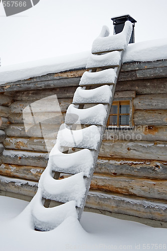 Image of ladder for Santa