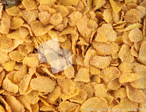 Image of Cornflakes