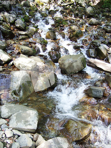 Image of stream