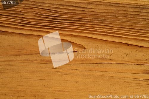 Image of Wood texture 1