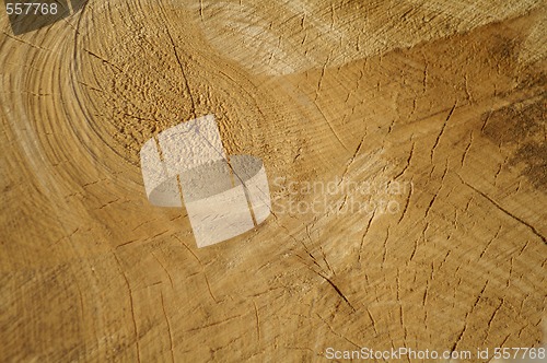 Image of wooden texture