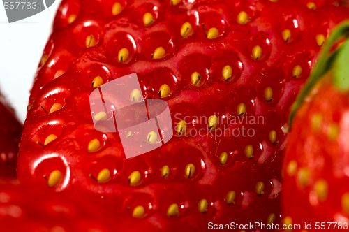 Image of Strawberry macro