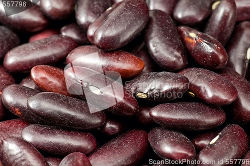 Image of Dark red kidney beans