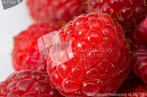 Image of Raspberry